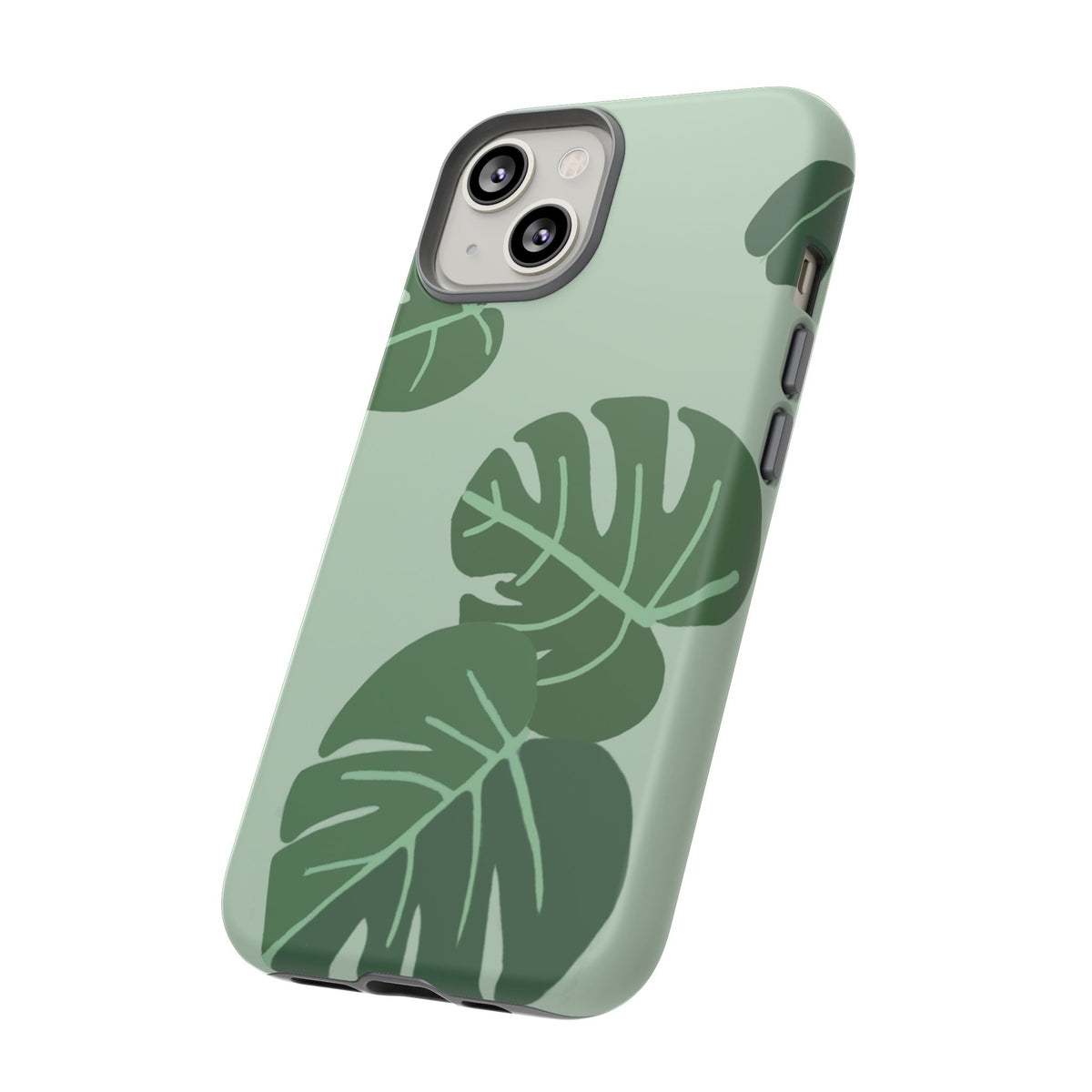 MONSTERA