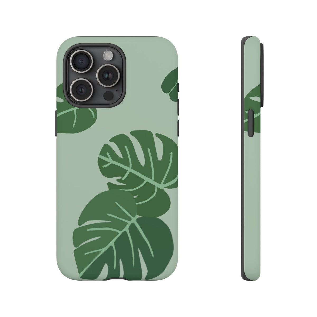 MONSTERA
