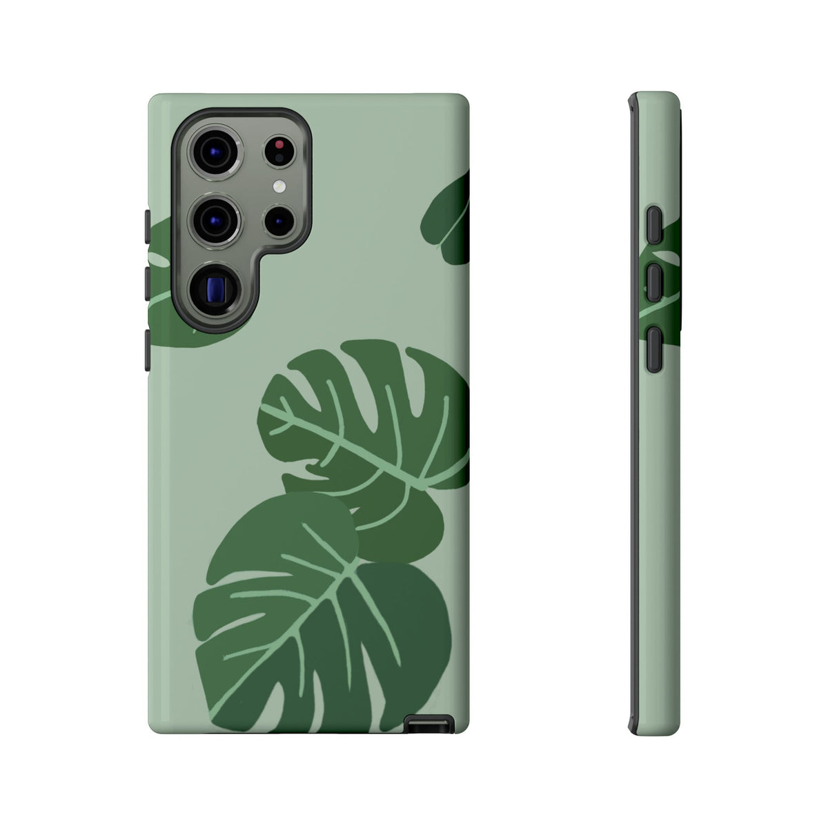 MONSTERA