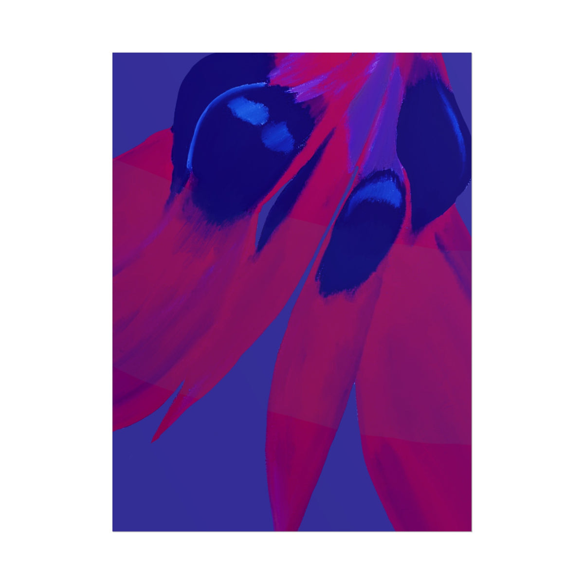 SUNSET DESERT PEA PRINT