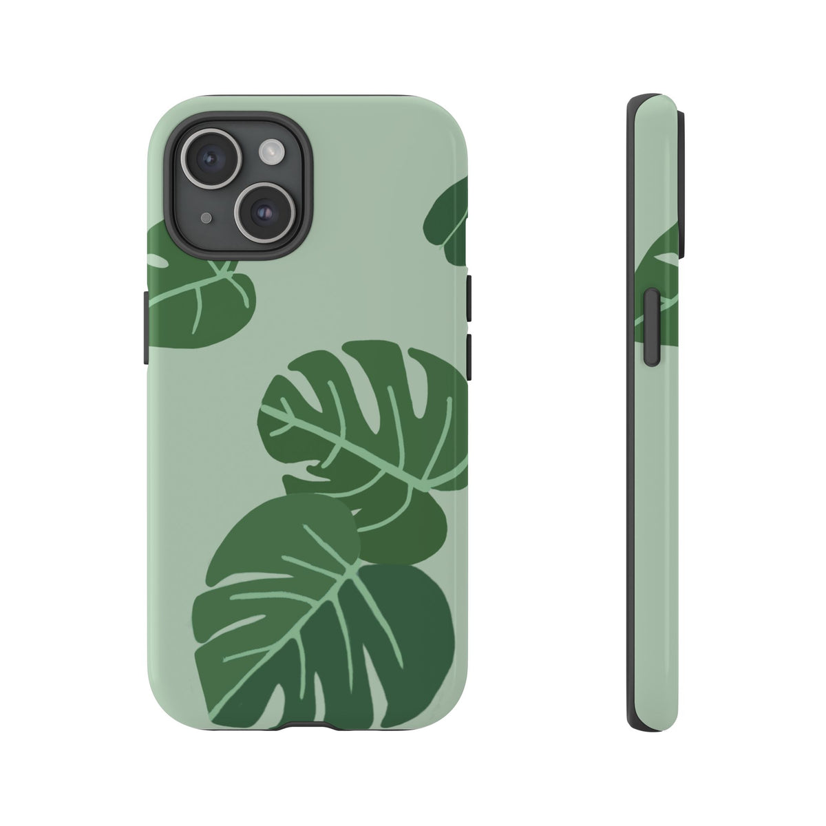 MONSTERA