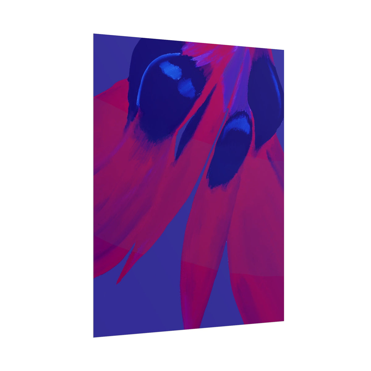SUNSET DESERT PEA PRINT
