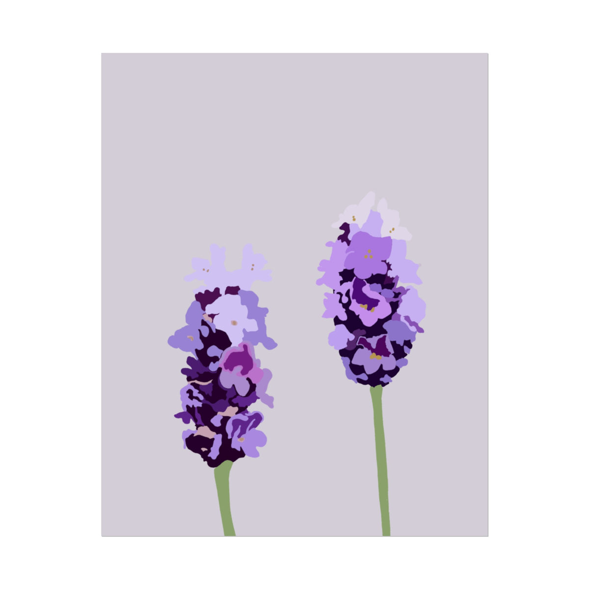 LAVENDER PRINT