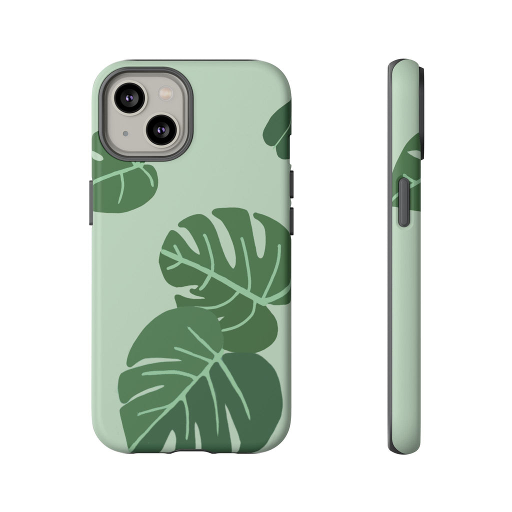MONSTERA