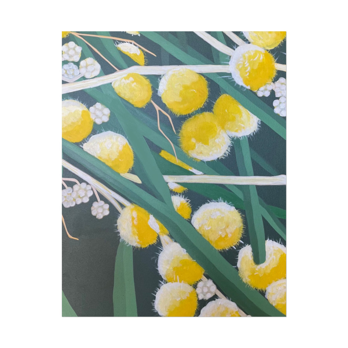 WATTLE PRINT