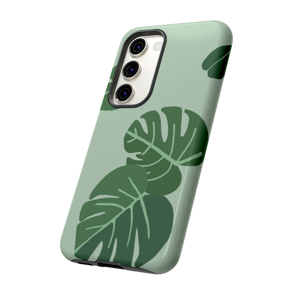MONSTERA