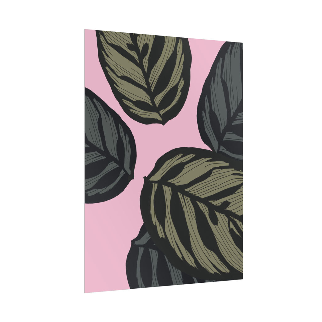 CALATHEA PRINT
