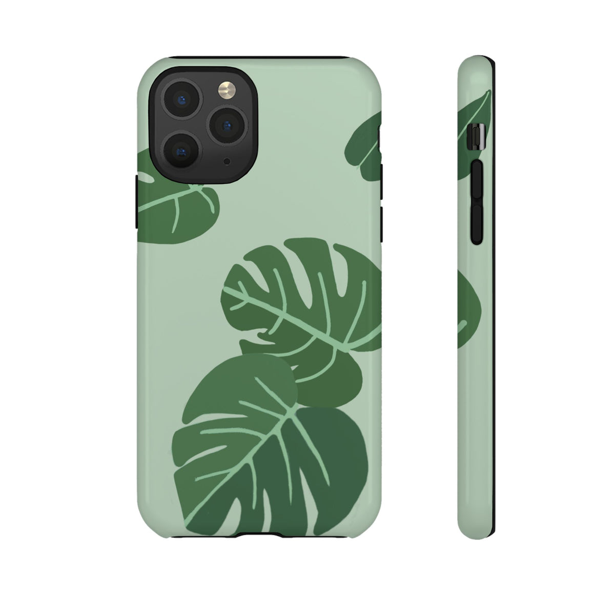 MONSTERA