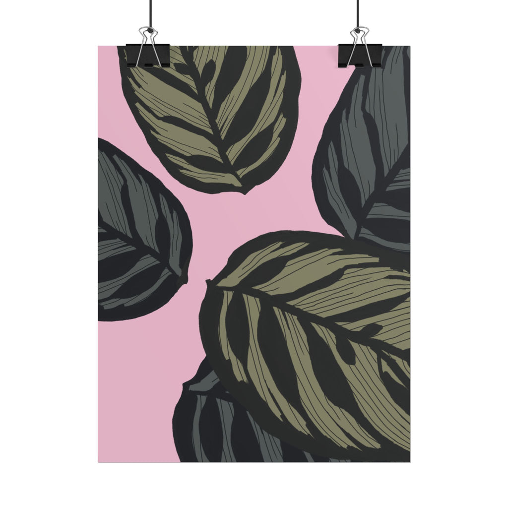 CALATHEA PRINT
