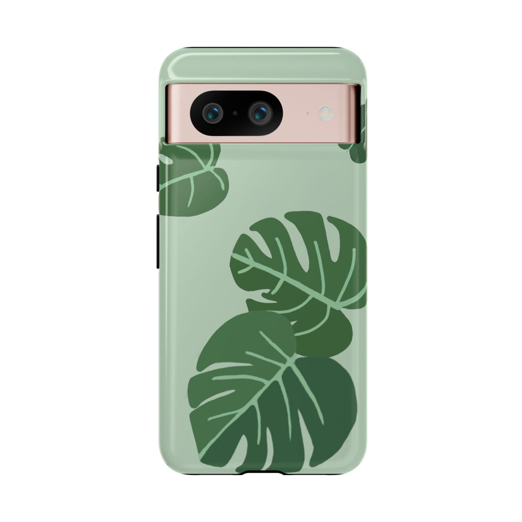 MONSTERA