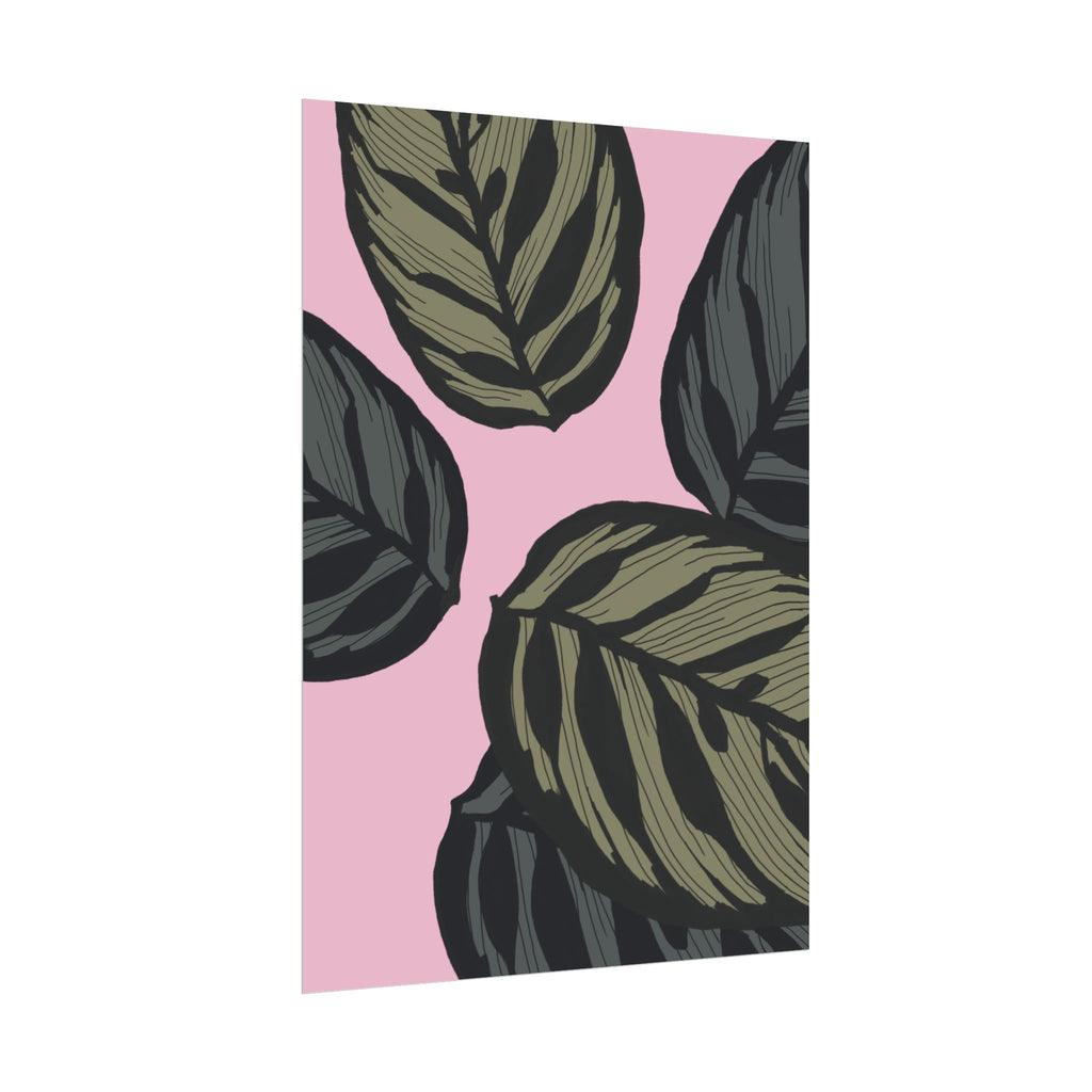 CALATHEA PRINT