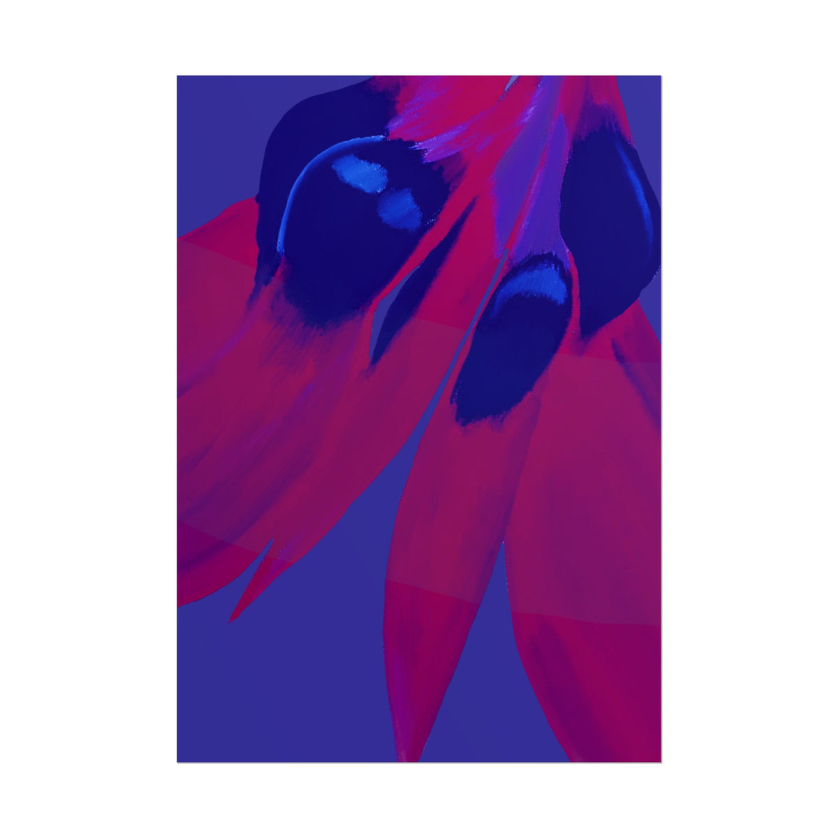 SUNSET DESERT PEA PRINT