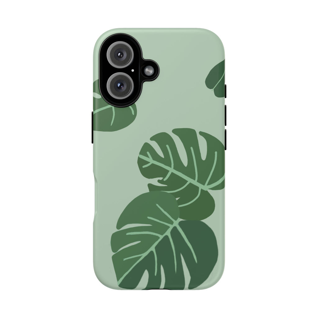 MONSTERA