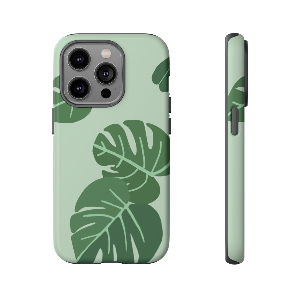 MONSTERA