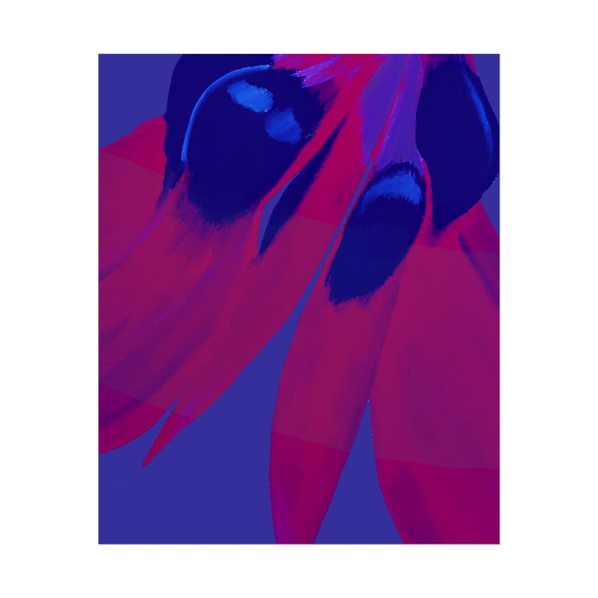 SUNSET DESERT PEA PRINT