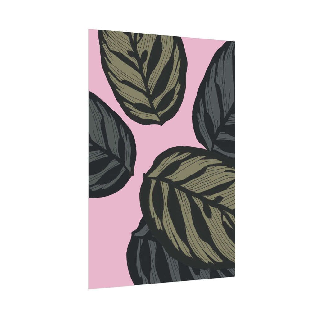 CALATHEA PRINT
