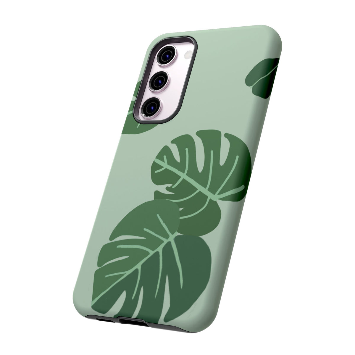 MONSTERA