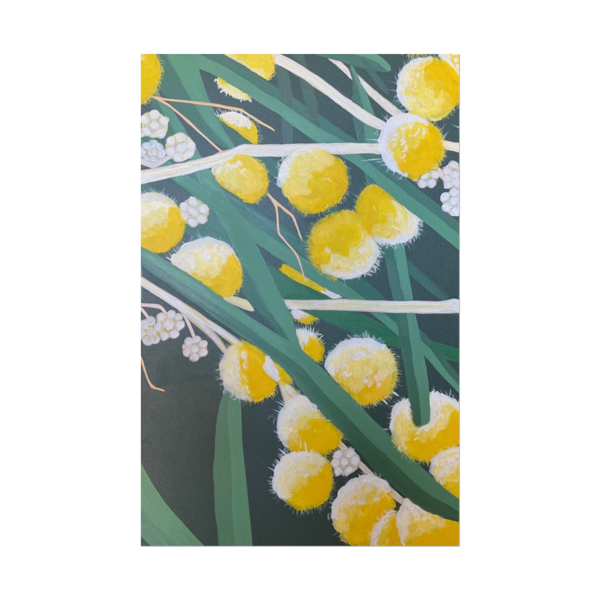WATTLE PRINT