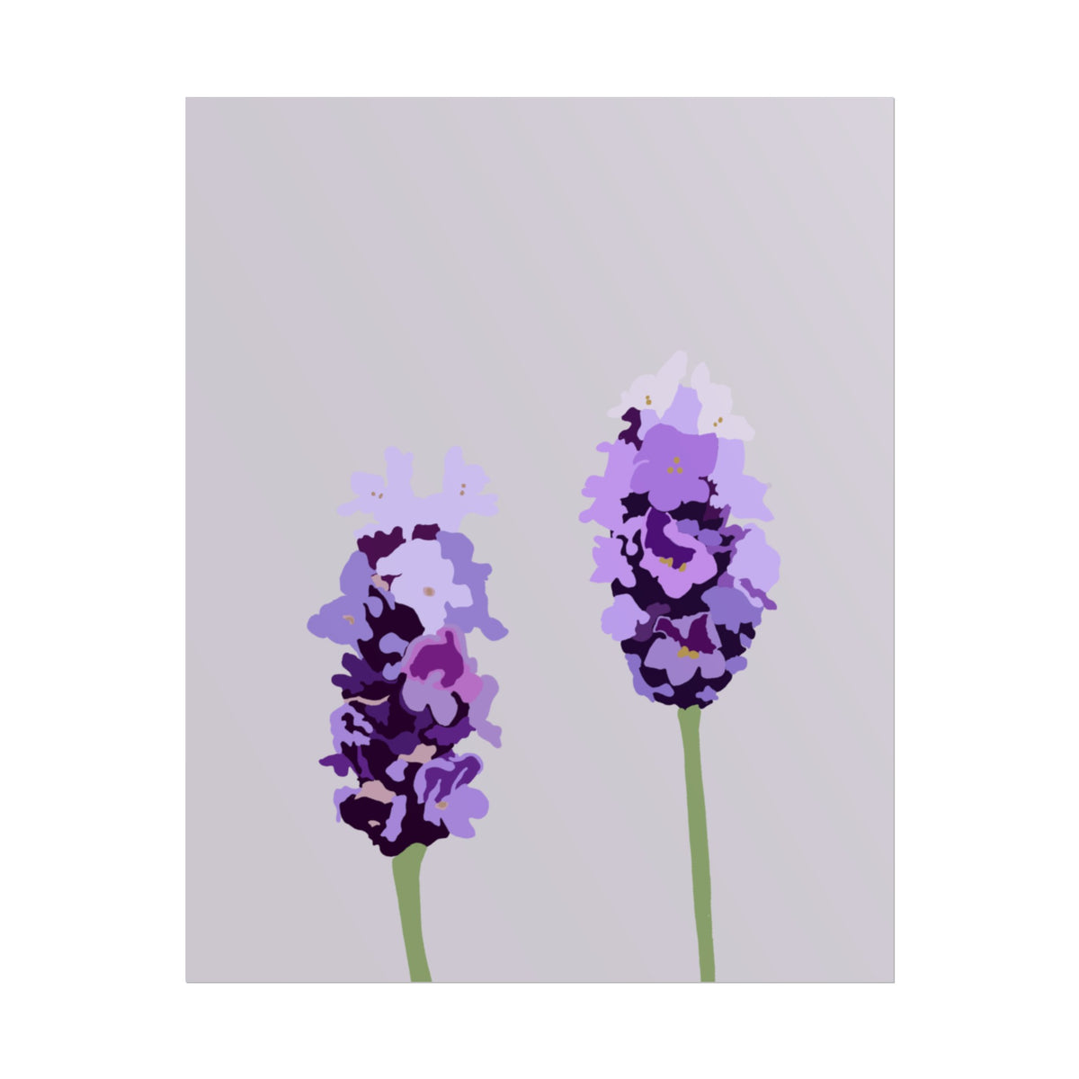 LAVENDER PRINT