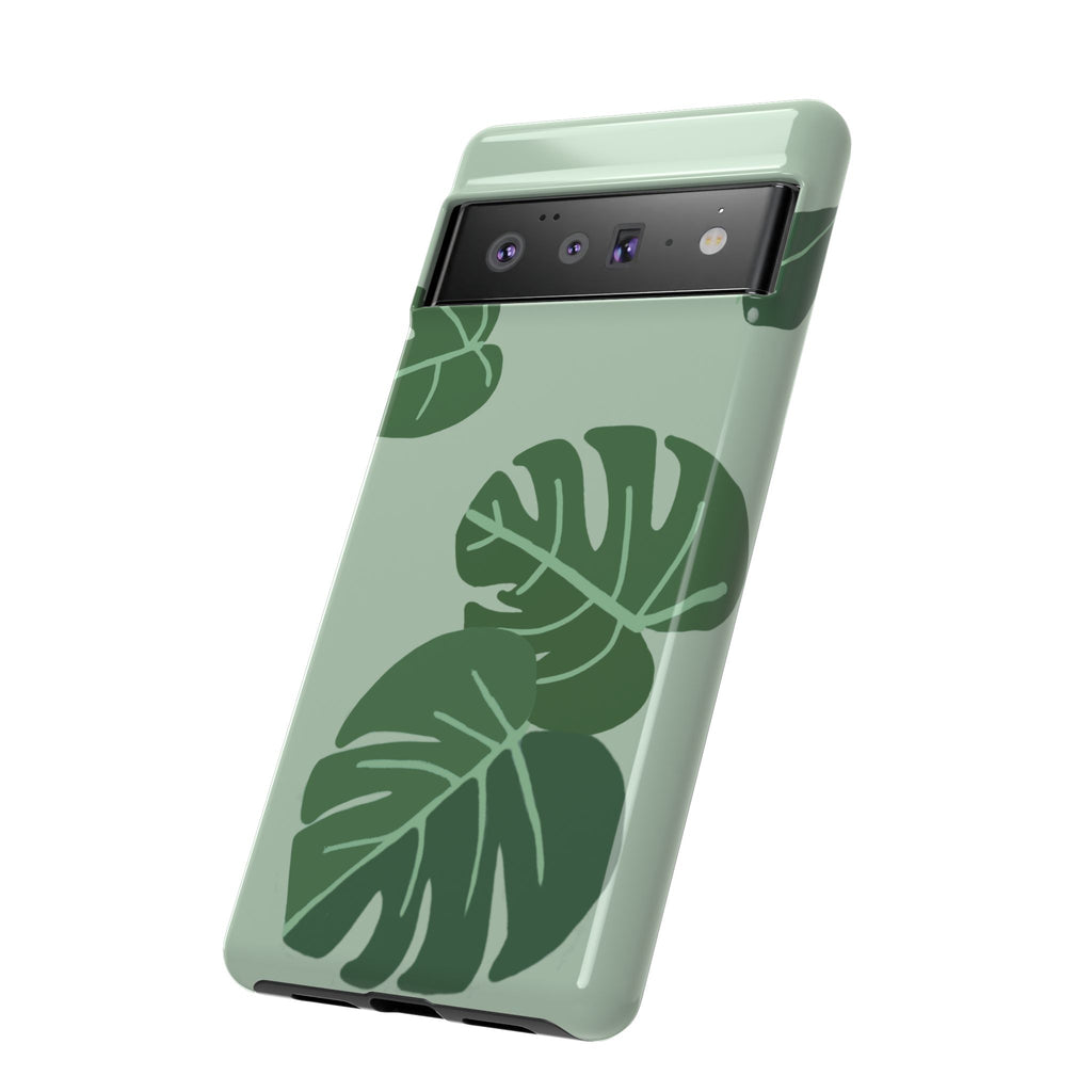 MONSTERA