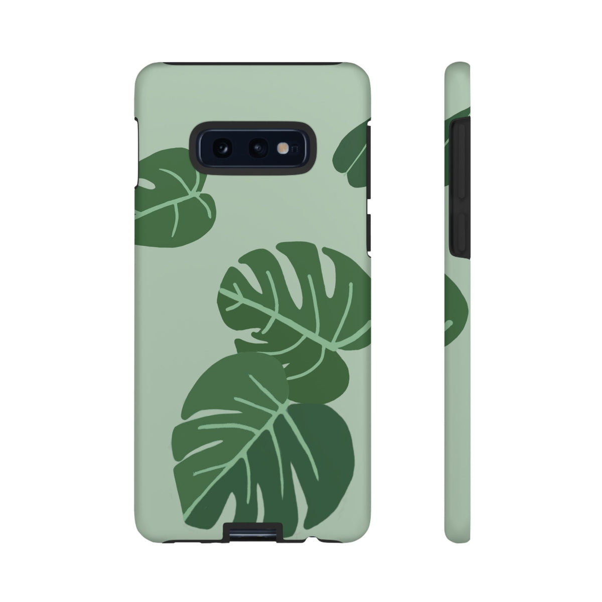 MONSTERA