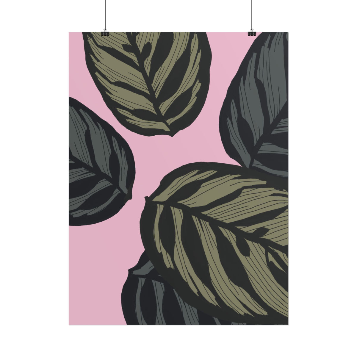 CALATHEA PRINT