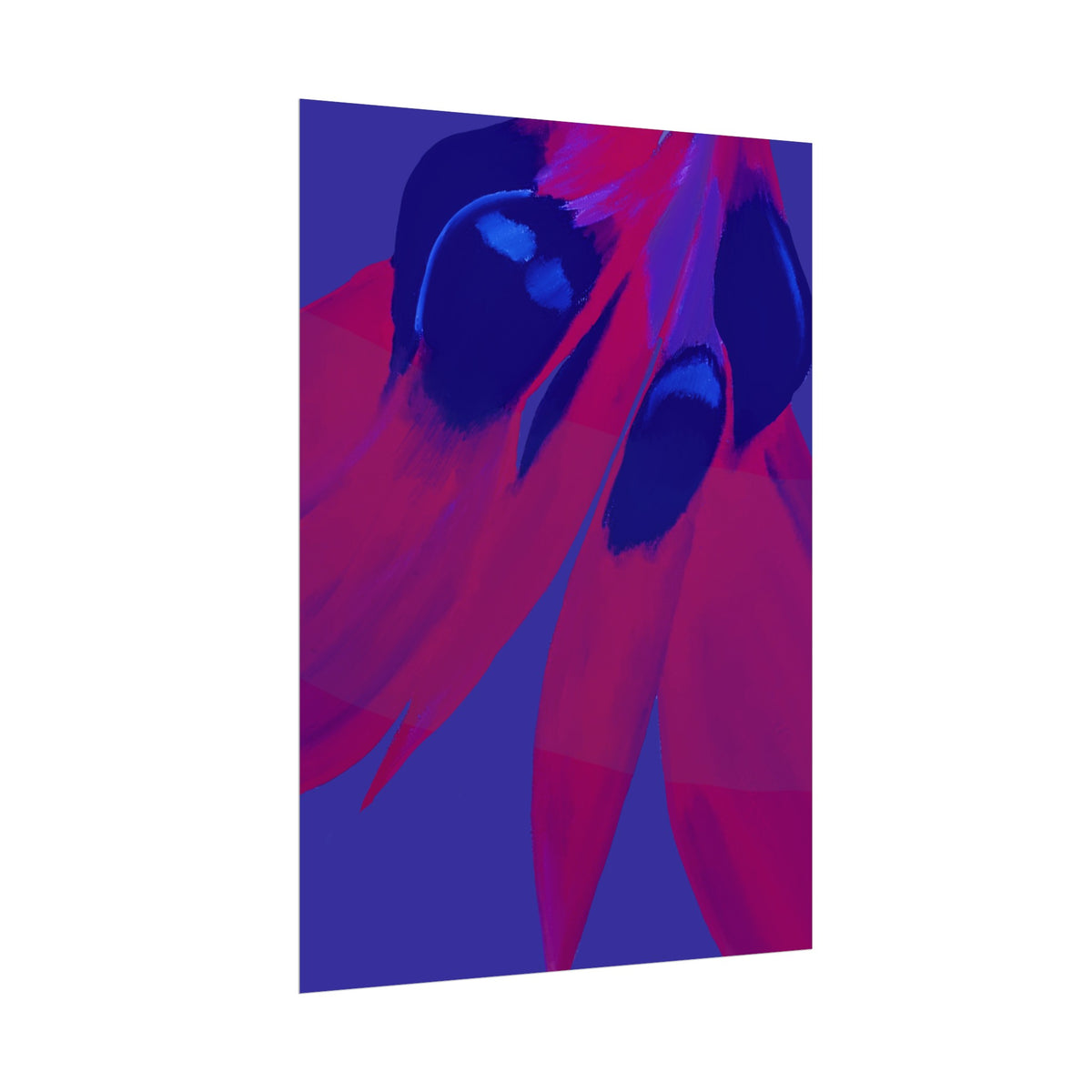 SUNSET DESERT PEA PRINT