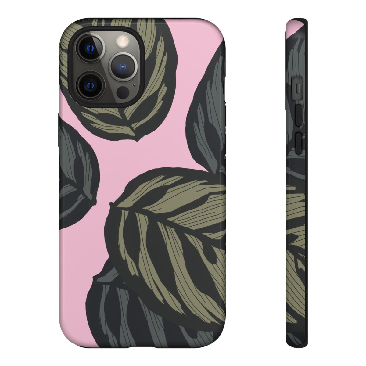 CALATHEA