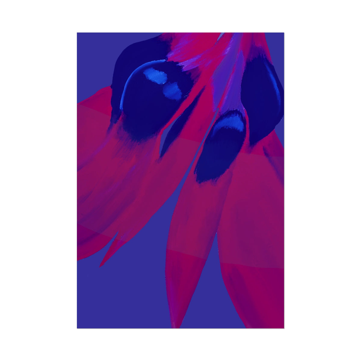SUNSET DESERT PEA PRINT