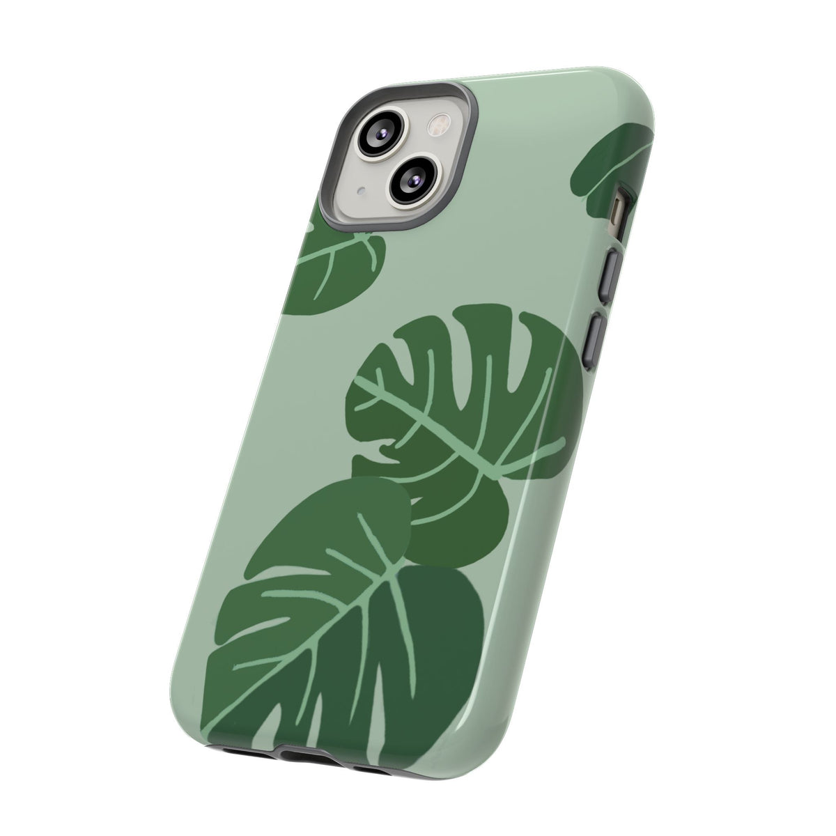 MONSTERA