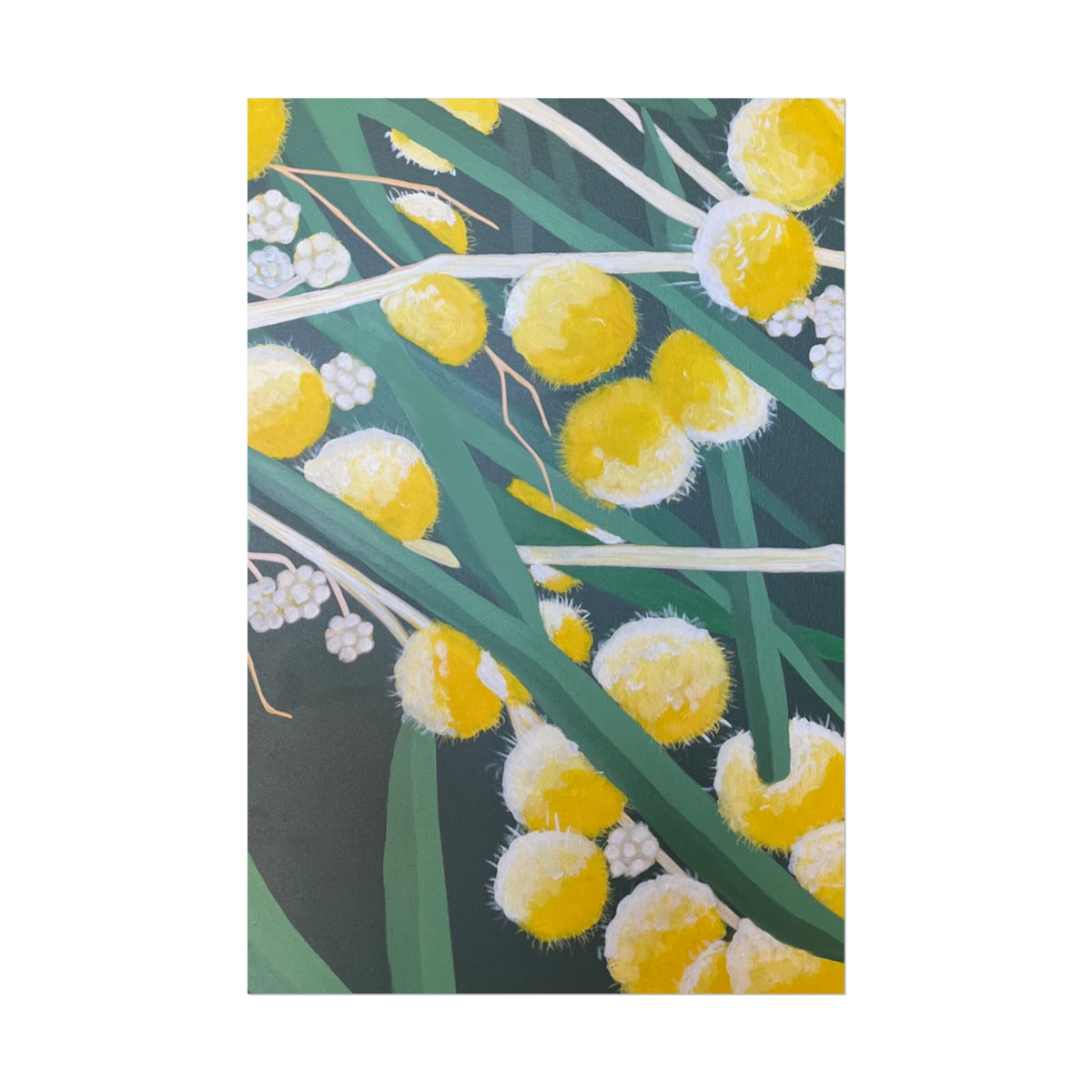 WATTLE PRINT