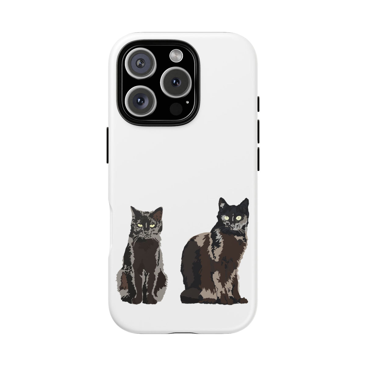 BLACK CATS
