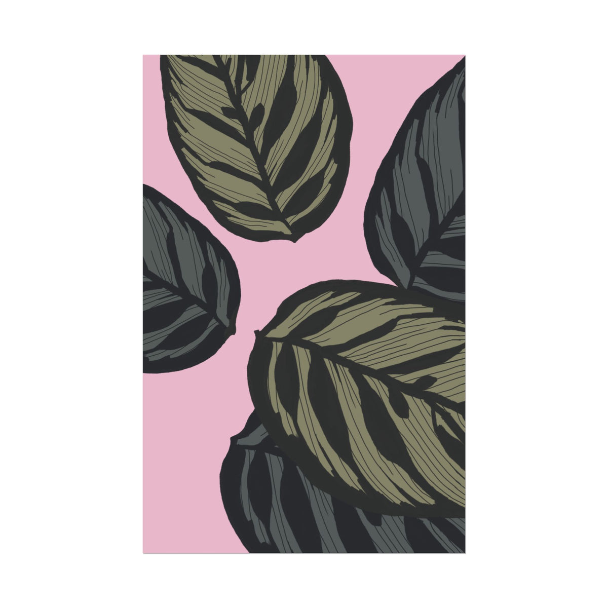 CALATHEA PRINT
