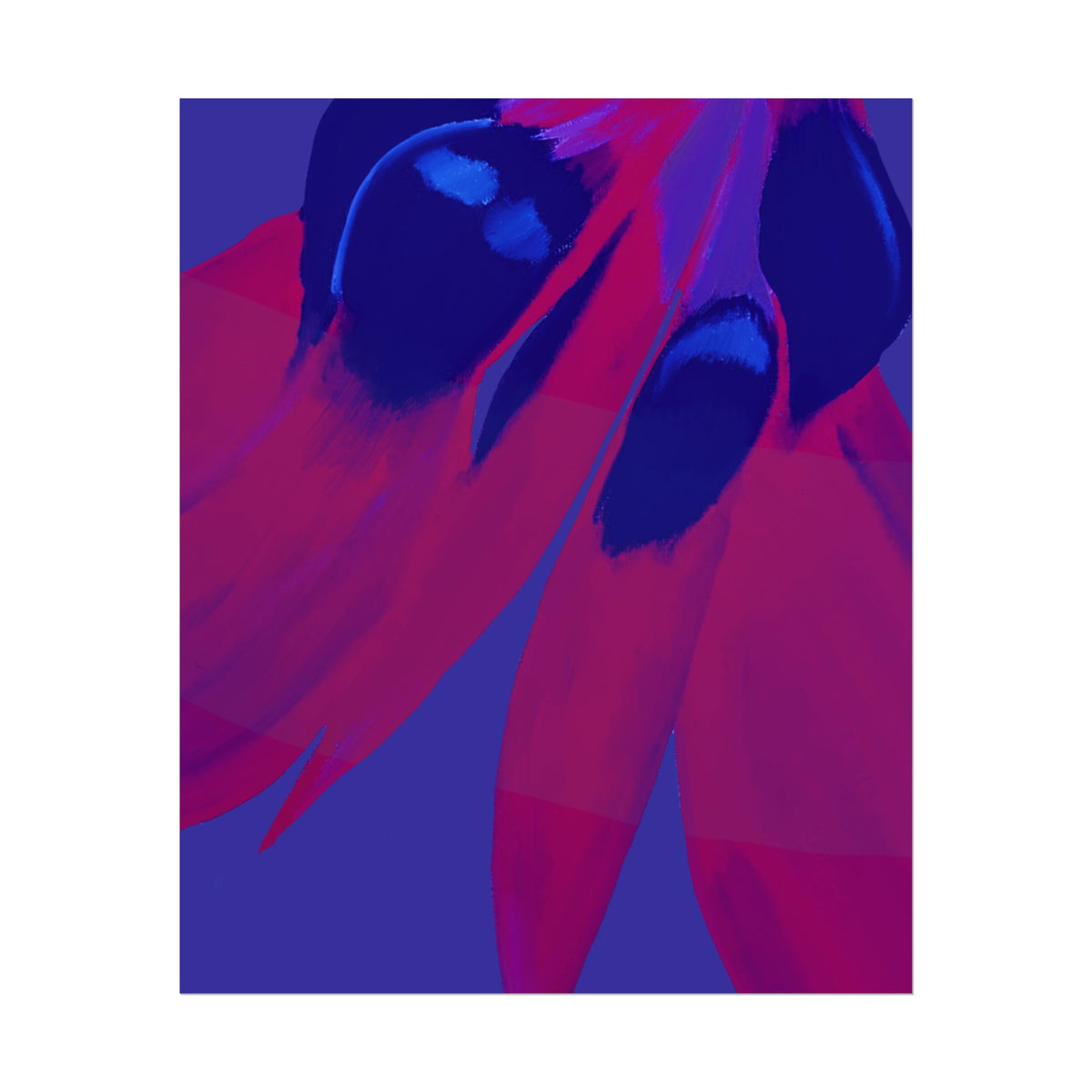 SUNSET DESERT PEA PRINT