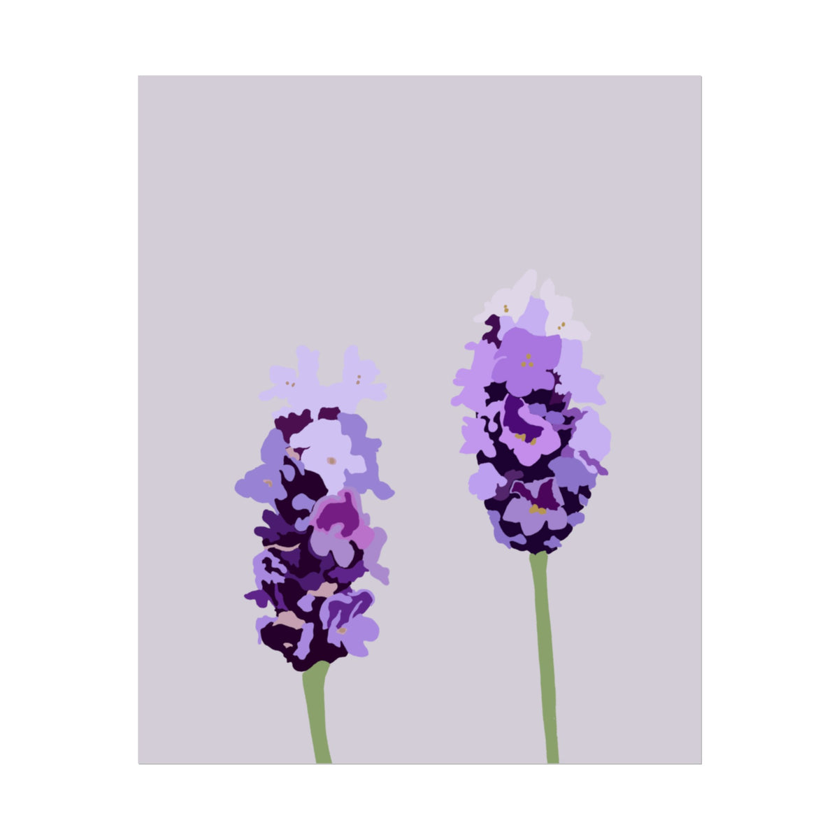 LAVENDER PRINT