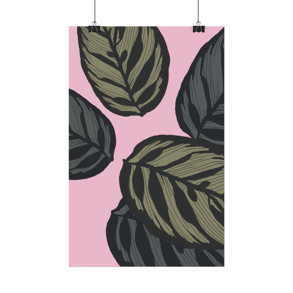 CALATHEA PRINT