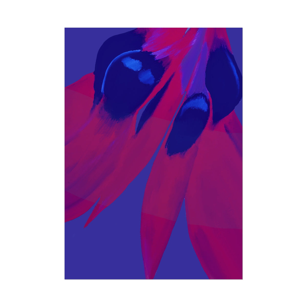 SUNSET DESERT PEA PRINT