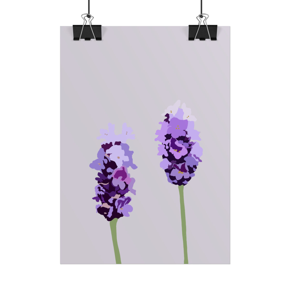 LAVENDER PRINT