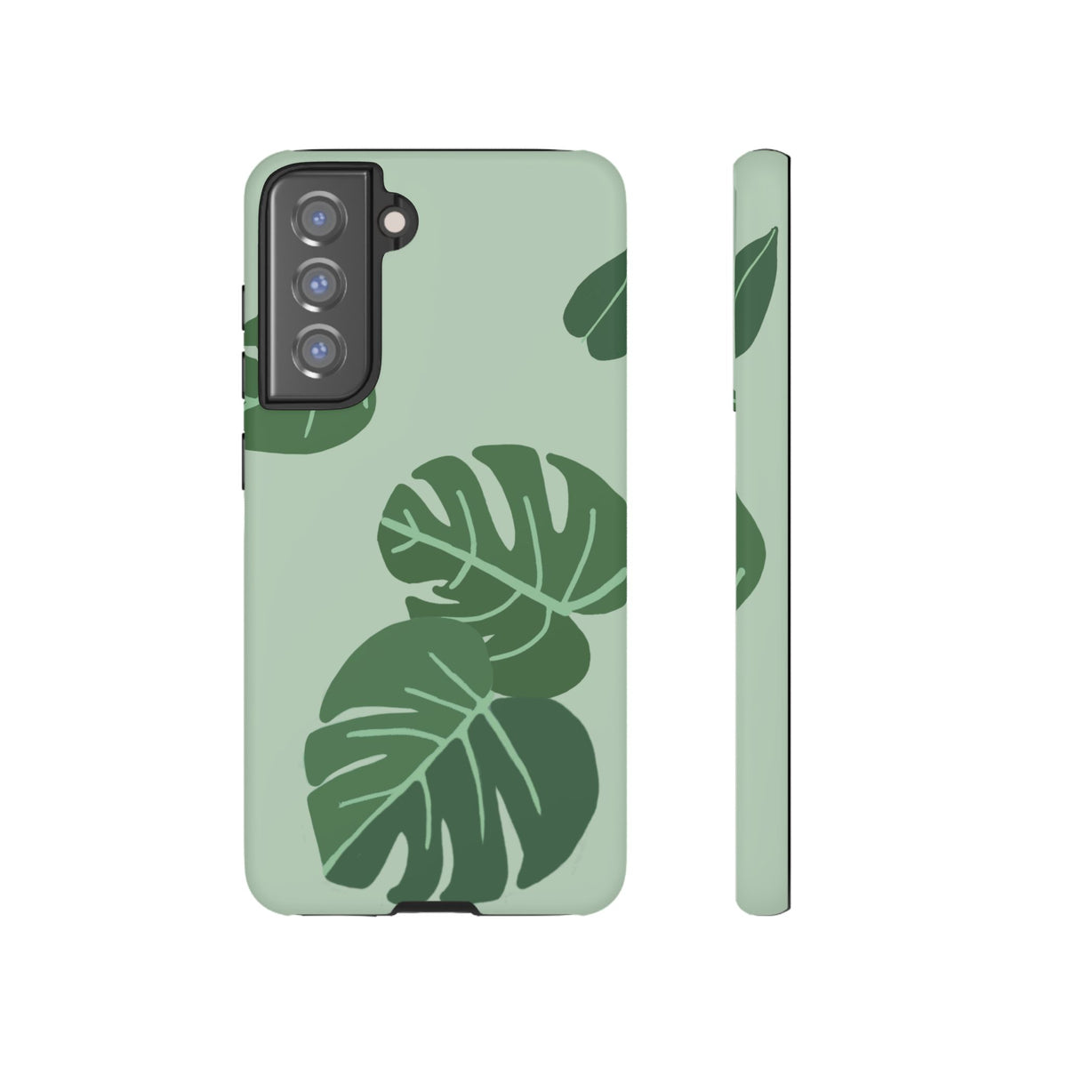 MONSTERA