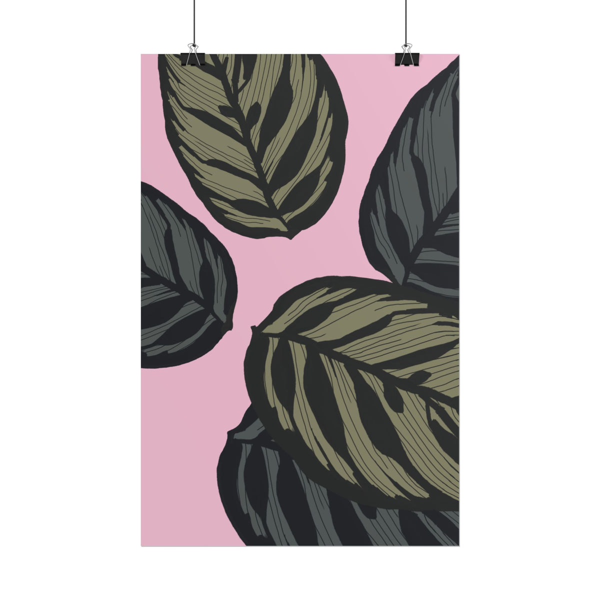 CALATHEA PRINT