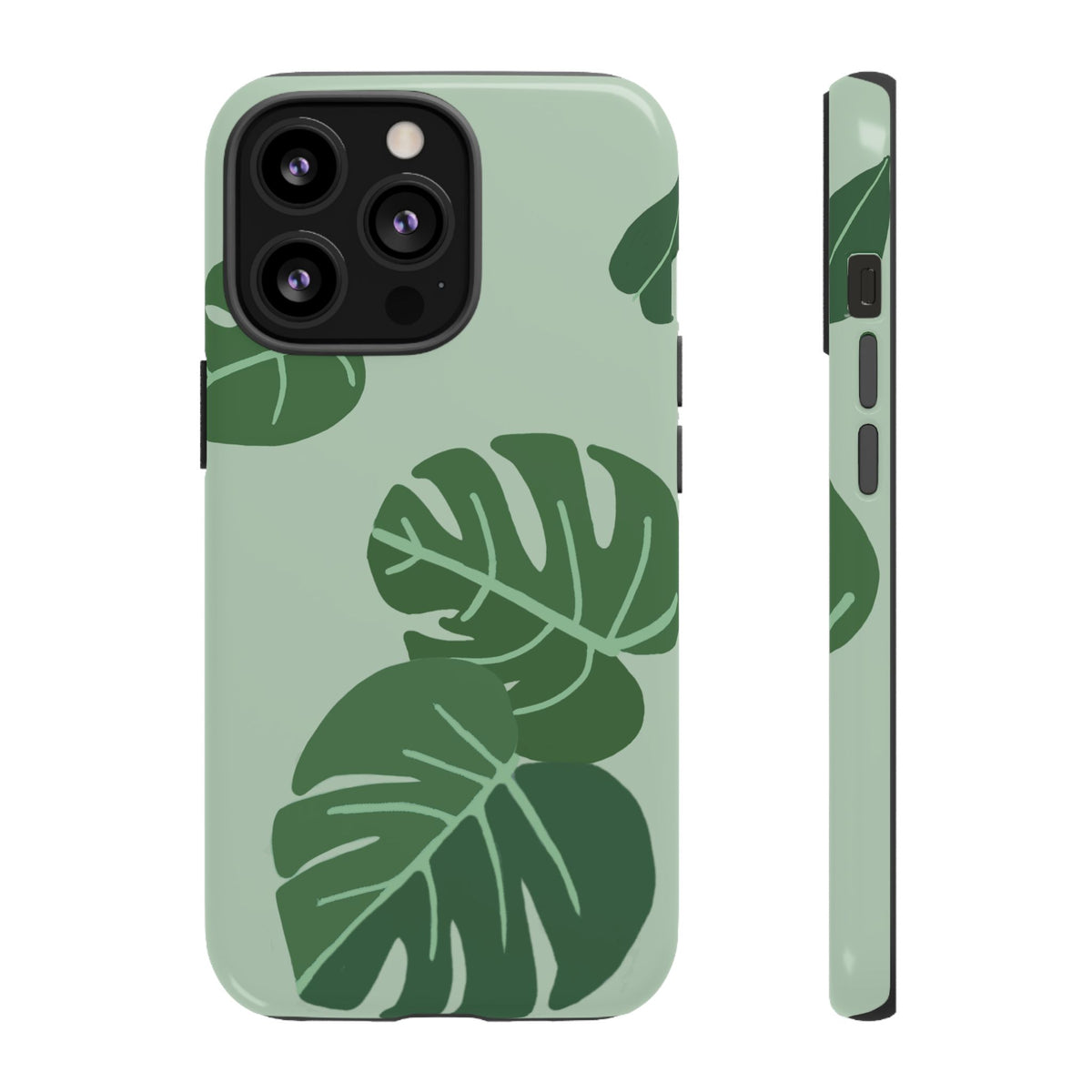 MONSTERA