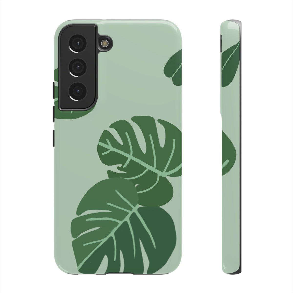 MONSTERA