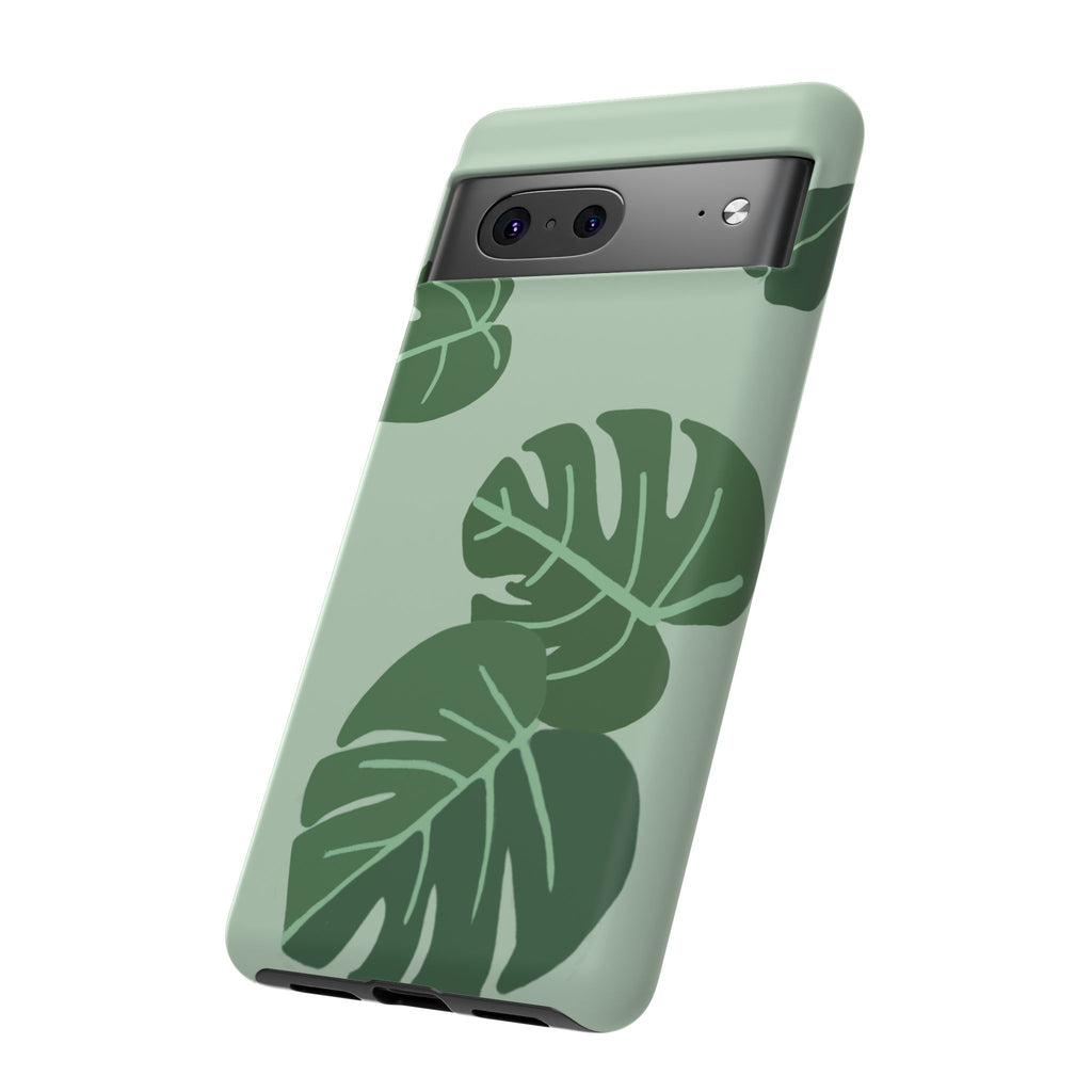 MONSTERA