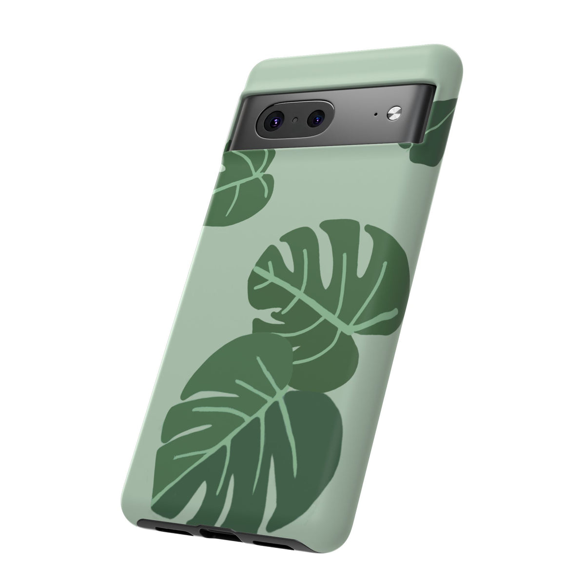 MONSTERA